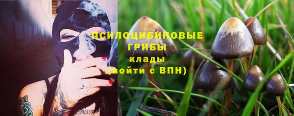 первитин Нефтегорск