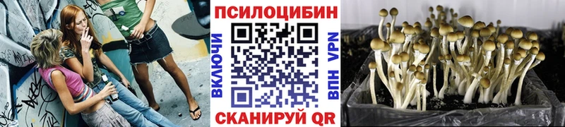 OMG ссылки  наркота  Сосновка  Псилоцибиновые грибы Magic Shrooms 